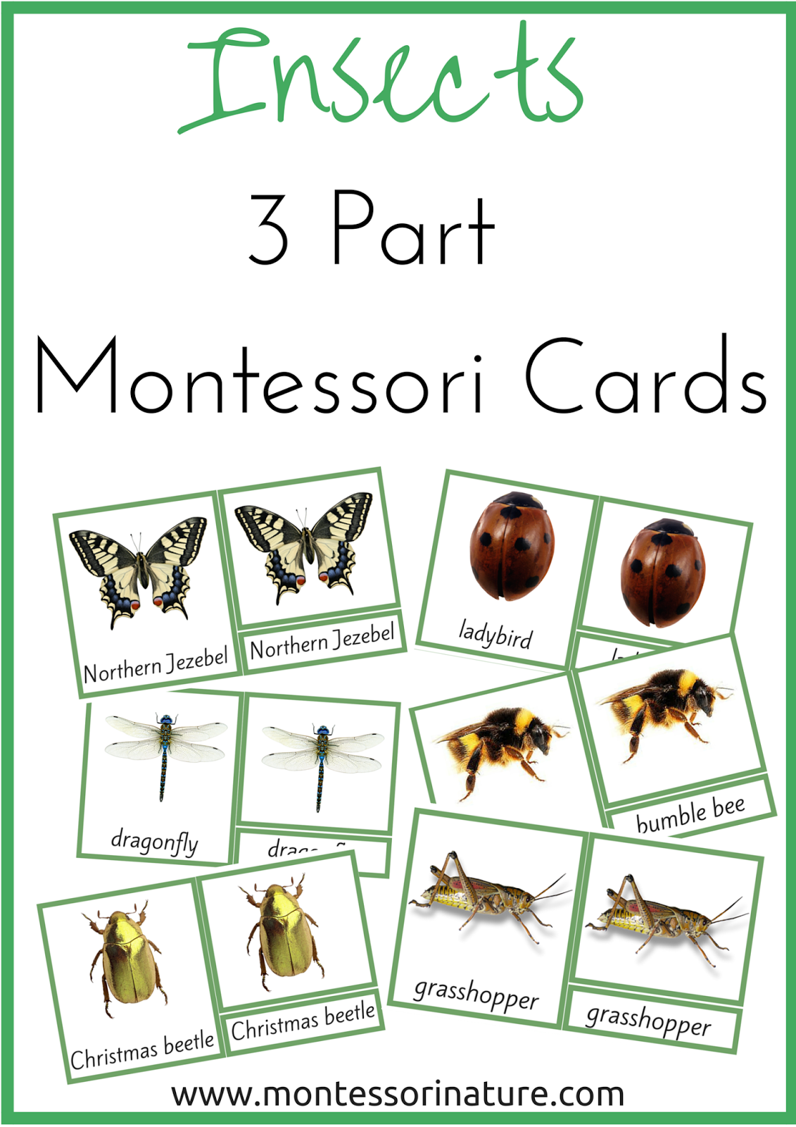 Insects 3 Part Montessori Nomenclature Cards Montessori Nature