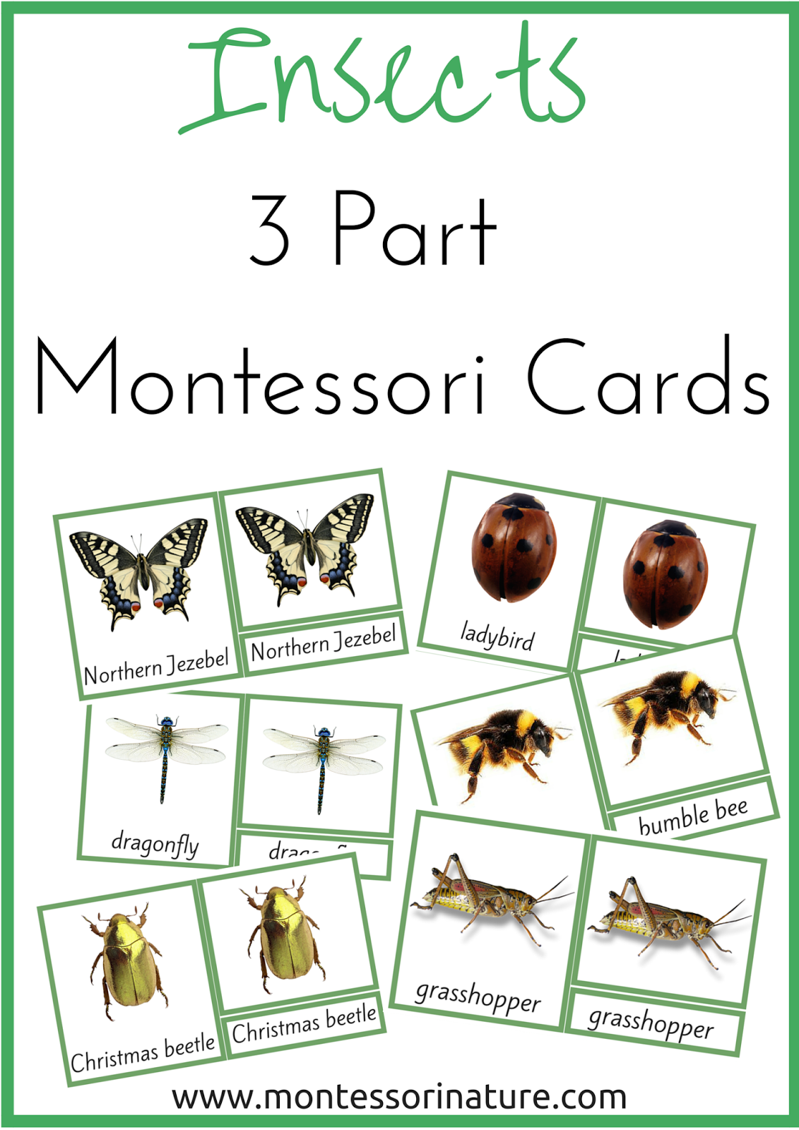 Insects 3 Part Montessori Nomenclature Cards Montessori Nature Insects 3 Part Montessori Nomenclature Cards Montessori Nature