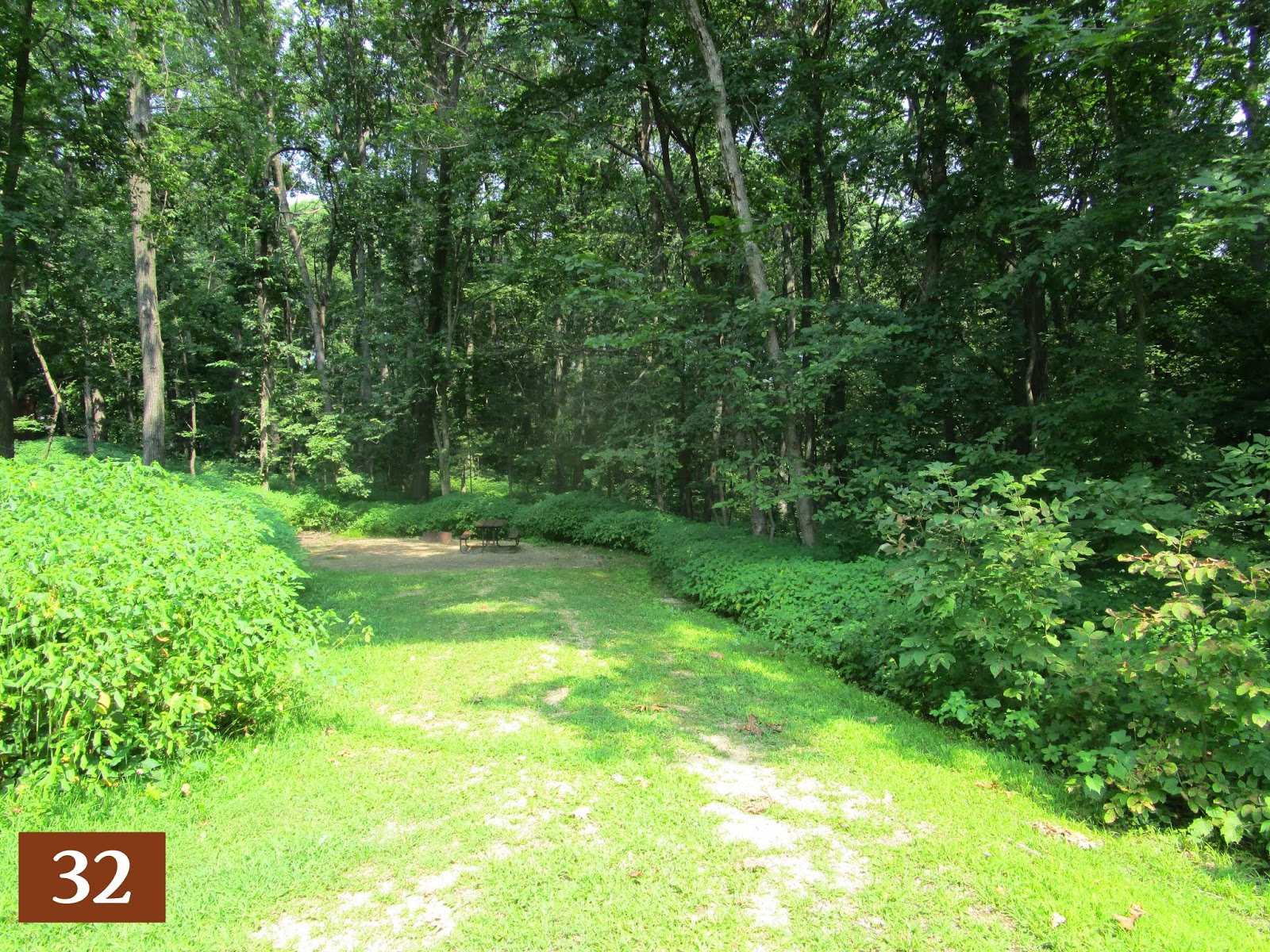 Nelson Dewey State Park Site 32 photo Nelson Dewey State Park Site 32 photo