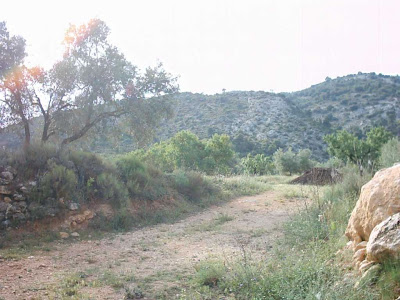 La pileta, camino, pantano de Pena, embalse, finca, almendros, olivos 31