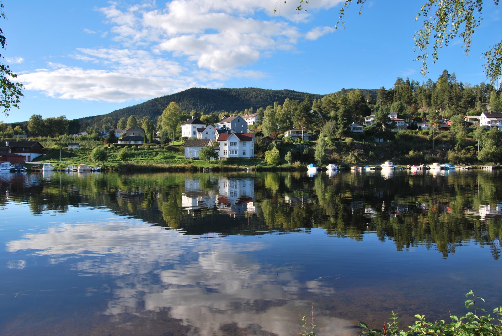 Telemarks og Grenlands historie: Lokalhistorisk reise på ...