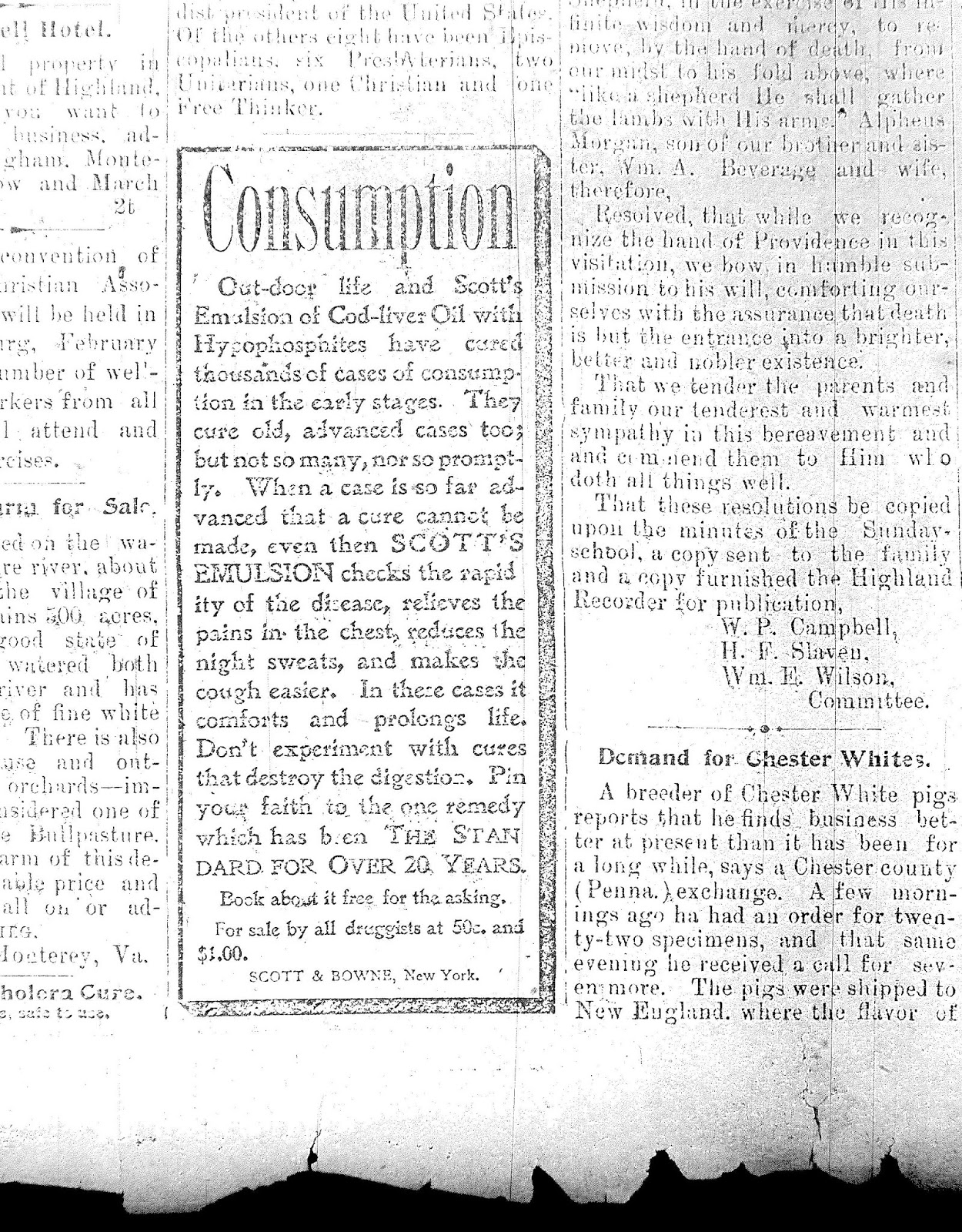 Super Wide Blog Highland Recorder 2000