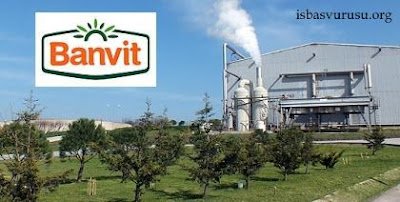 Banvit İş İlanları banvit-isci-alimlari