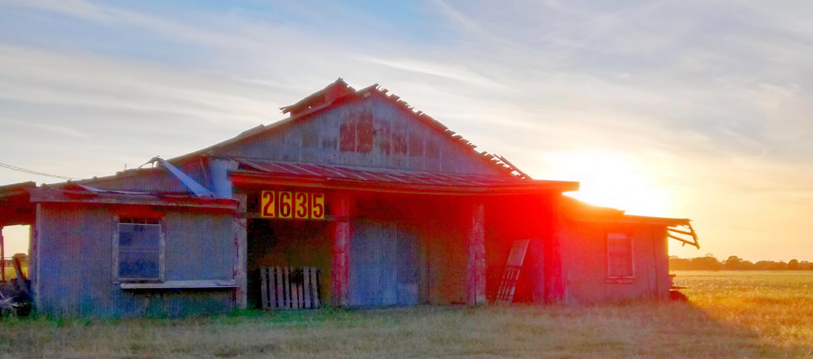 Living Rootless Louisiana Plaisance 2635 at Sunset