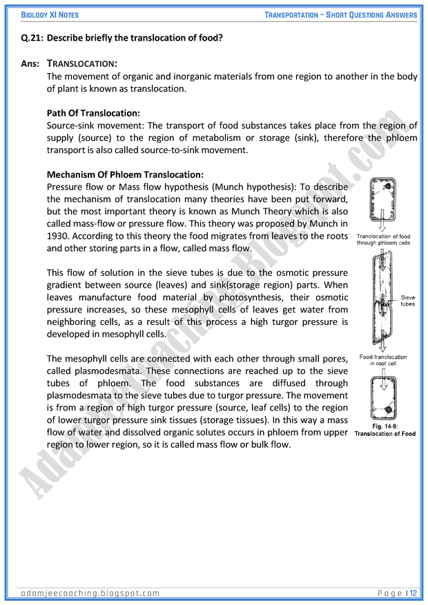 transportation-short-question-answers-biology-11th
