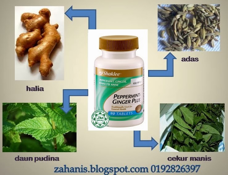 PeppermintGinger Plus, Membantu Atasi Alahan Ketika Mengandung Life