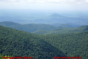 North Georgia Mountain Wilderness