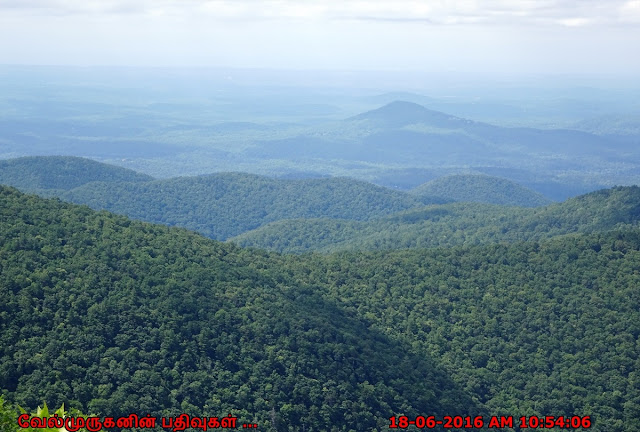 North Georgia Mountain Wilderness