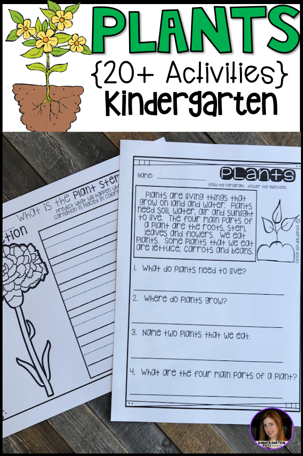 Plant Activities, Writing Crafts, Science Lessons and Centers for