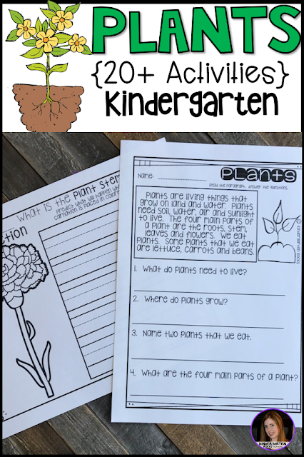 Are you looking for plant activities and lessons to fill your science and literacy centers throughout the spring? Then you will love plant activities!