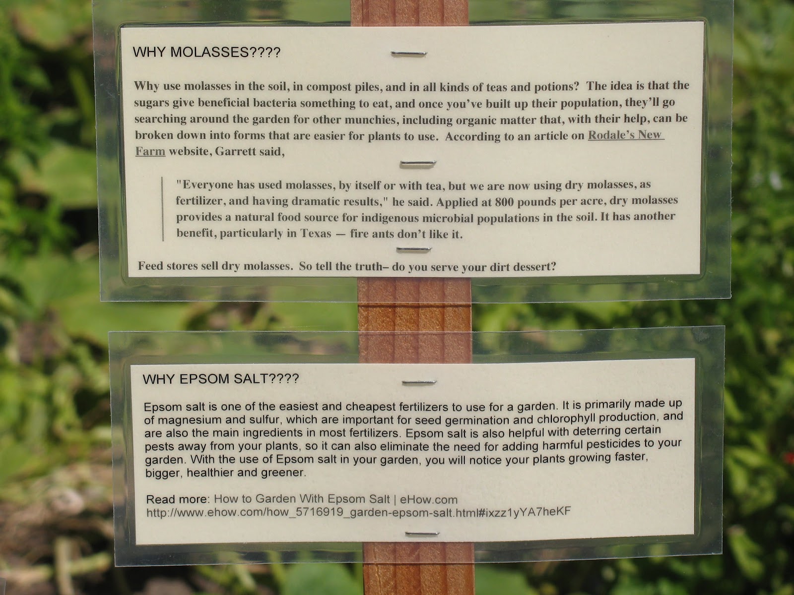 Home Farm Molasses for Fertilizer?