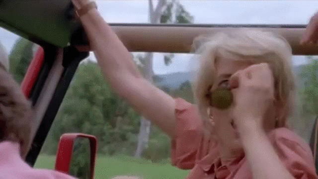 giphy4.gif