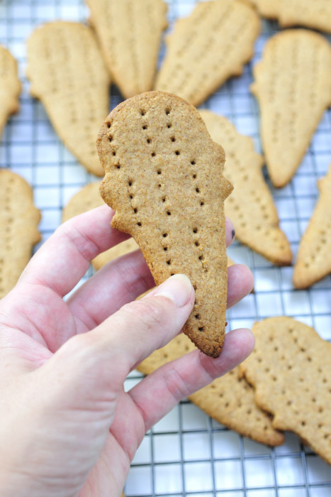 Homemade Graham Crackers Ice Cream Cookies- via BirdsParty.com