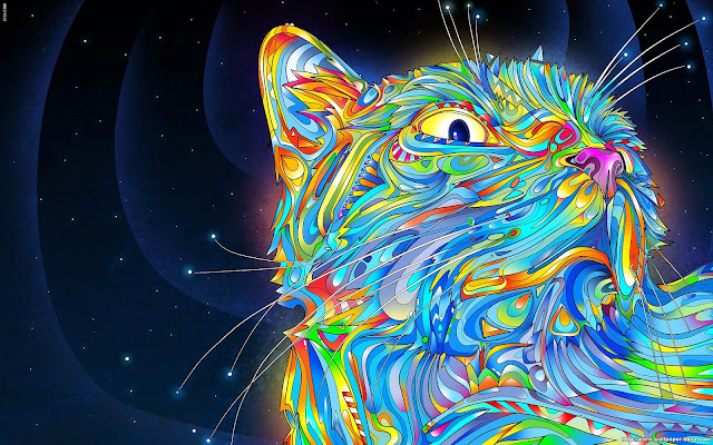 119028-Abstract Cat HD Wallpaperz