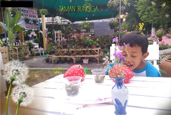 Soal Olimpiade Ipa Getaran Gelombang Bunyi Bumi Dan Tata Surya Persiapan Osn 2019 Ayo Mendidik