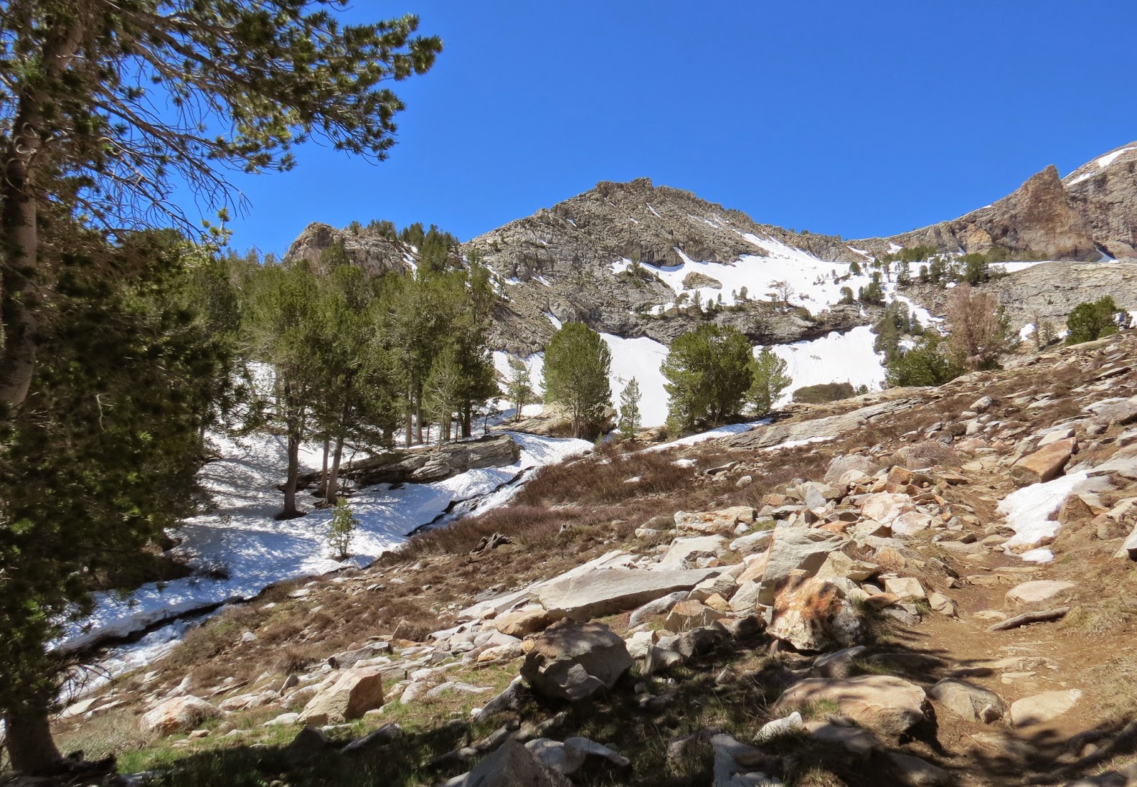 Where's Liz? 2014: Ruby Mountain Wilderness