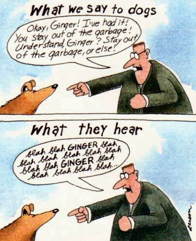 Gary Larsen - Far Side: What we say to dogs & What they hear.