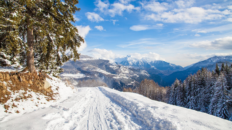 Winter Landscape 2015