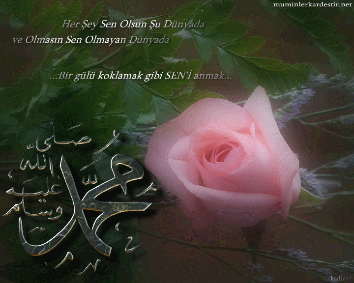 Wallpaper islamic keren bisa bergerak (*gif)