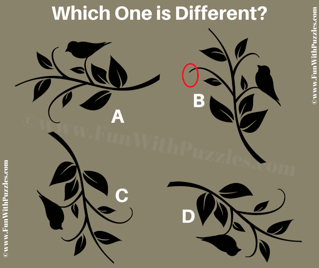 Which one is Different? | Odd One Out Picture Puzzle Answer
