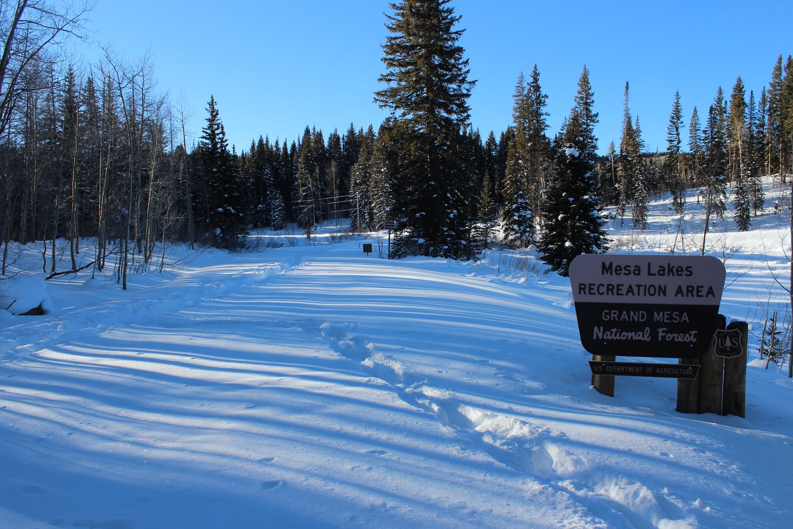 Mesa Lake Shoreline Nordic