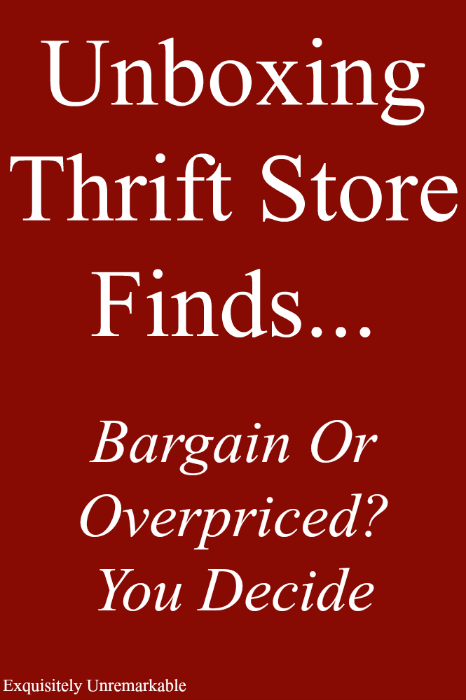 Unboxing Thrift Store Finds Bargain or Overpriced? You decide