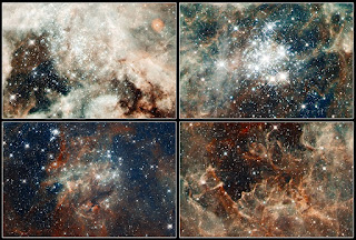 nebulosa tarantula telescopio hubble