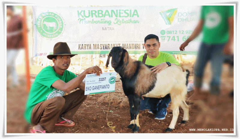 Kurbanesia tebar hewan kurban Domapet Dhuafa di Tuban