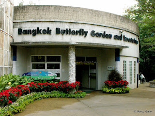 JARDÍN DE MARIPOSAS, BANGKOK. TAILANDIA 