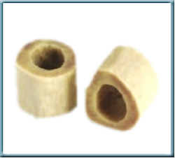 birds hollow bones eagle bone poly cal bio structures incredible support system