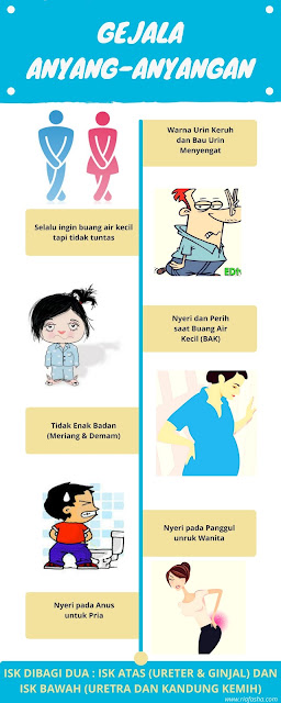 infografis gejala saat mengalami anyang-anyangan