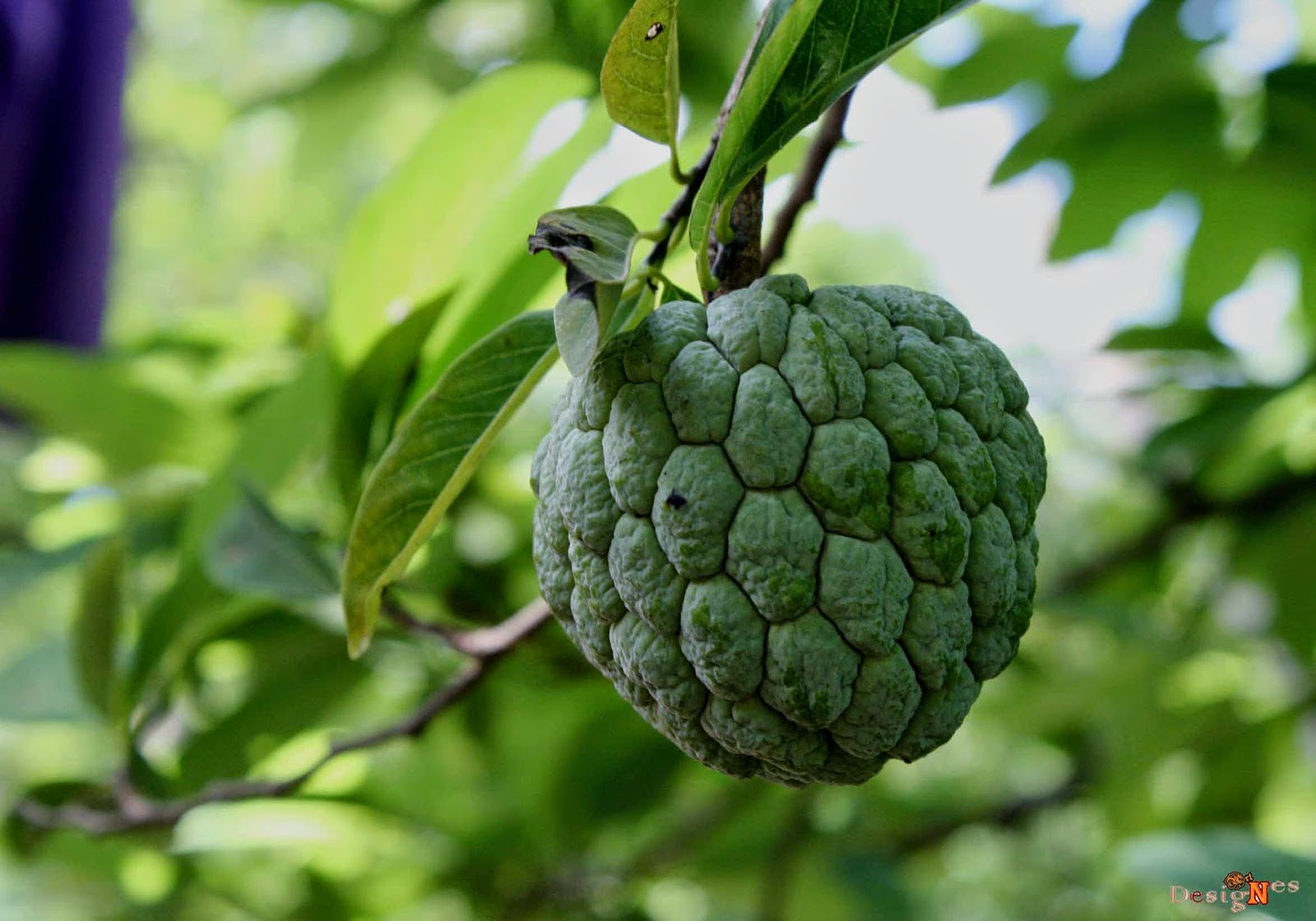 Gambar Tehnik Blurring Fotografi Beserta Contoh Gambar Fourlook di