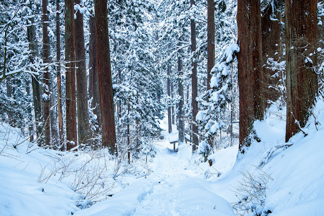 #photo #landscape #sigma #foveon #sdquattroh #japan #yamagata #tsuruoka #山形県 #鶴岡市 #山形帝國 #写真 #風景写真