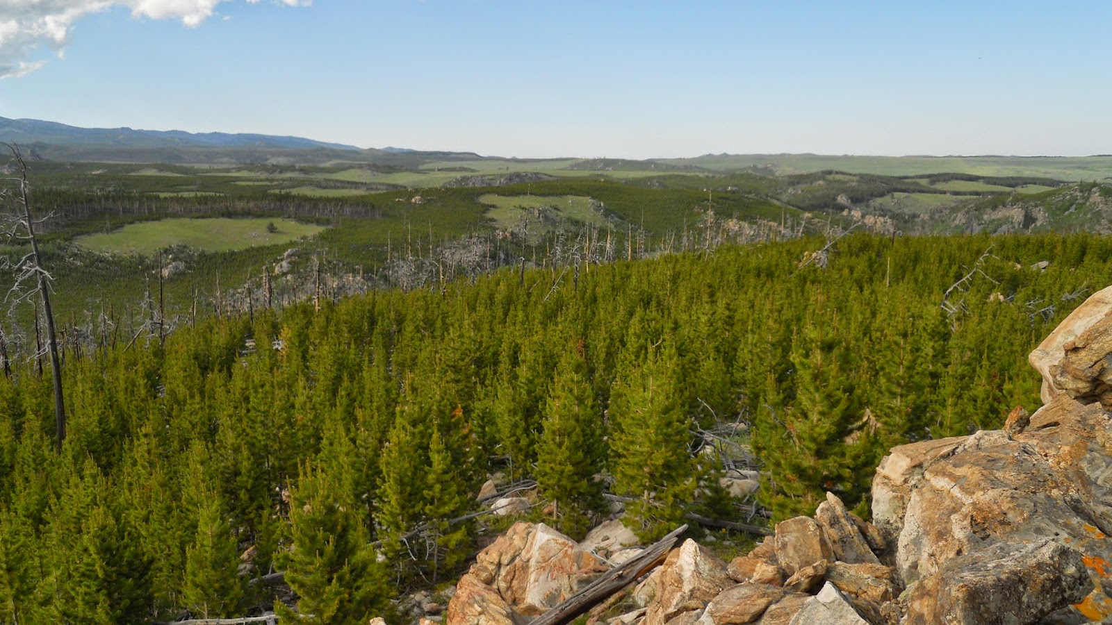 National Forest Camper Circle Park Campground
