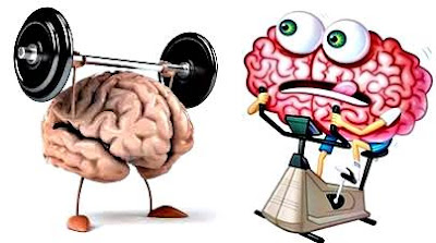 Neuro Pilates for our brain: exercises to apply (brain workout) Neuro Pilates for our brain: exercises to apply (brain workout)