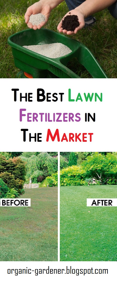 The Best Lawn Fertilizers in The Market - Organic Gardening