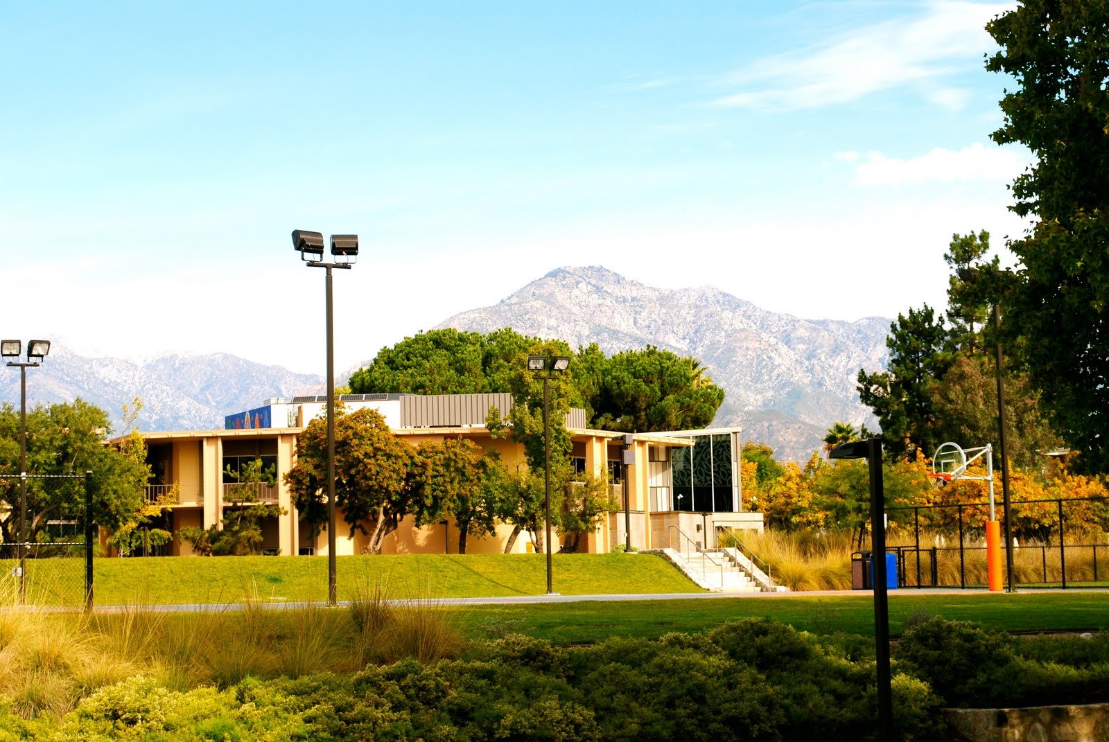 A Lens Into a Different World: Pitzer College