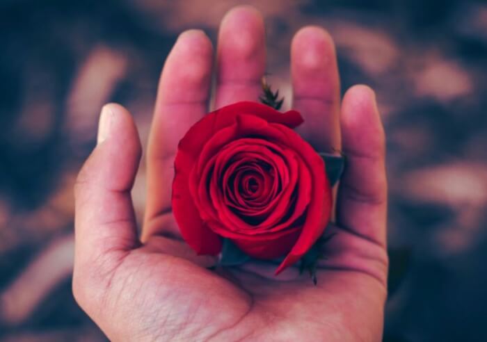 Kata kata Bijak Cinta Singkat Penuh Makna Kata kata Bijak Cinta Singkat Penuh Makna