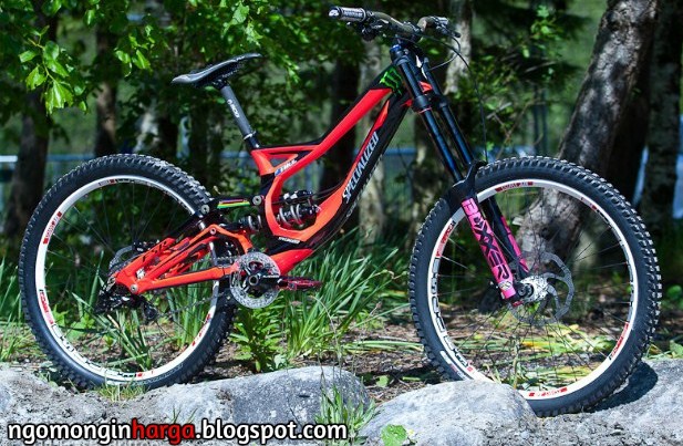 Daftar Harga Sepeda Specialized Terbaru Lengkap Dengan Gambar