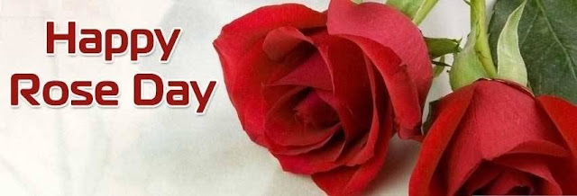 Happy Rose Day HD Facebook Cover Photo 2020