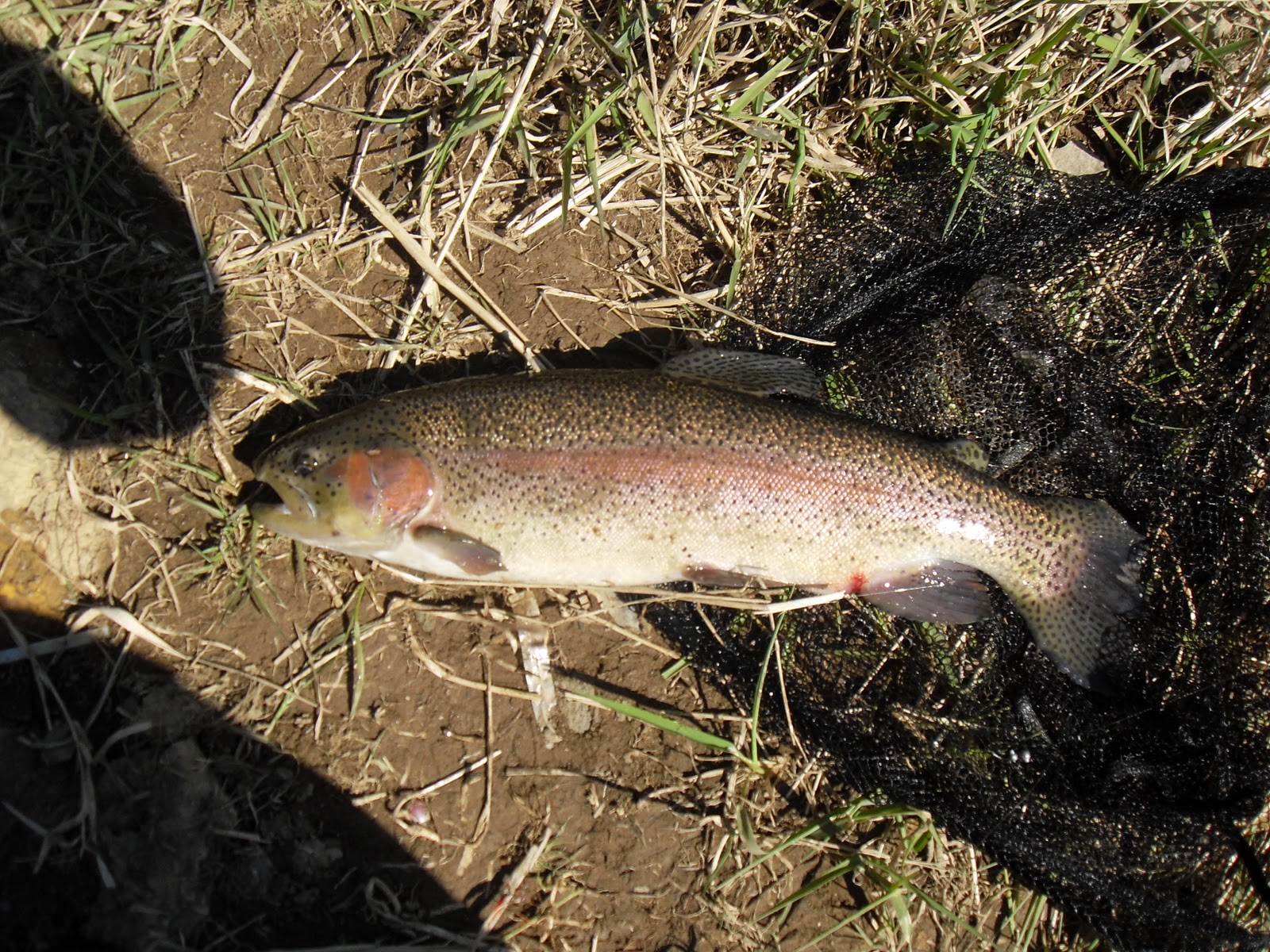 Fishing Pennsylvania My first day of trout fishing this season