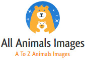 All Animals Images