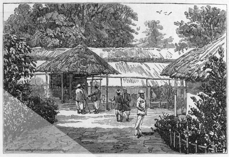 ImagesGuyana The East Indians in British Guiana