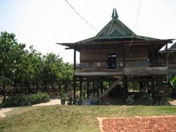 Download this Rumah Adat Kalimantan Timur Sulawesi Bugis picture