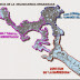 Mapa delincuencial por todos conocido: El de Guerrero y desde el 2011