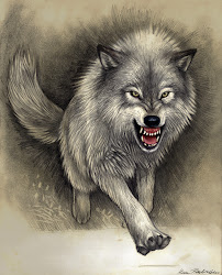 wolf wolves canavar sekilleri drawings graphite katepfeilschiefter pfeilschiefter kate drawing wolfs painting rain dragons skeleton society6 animals snarling deviantart tattoo