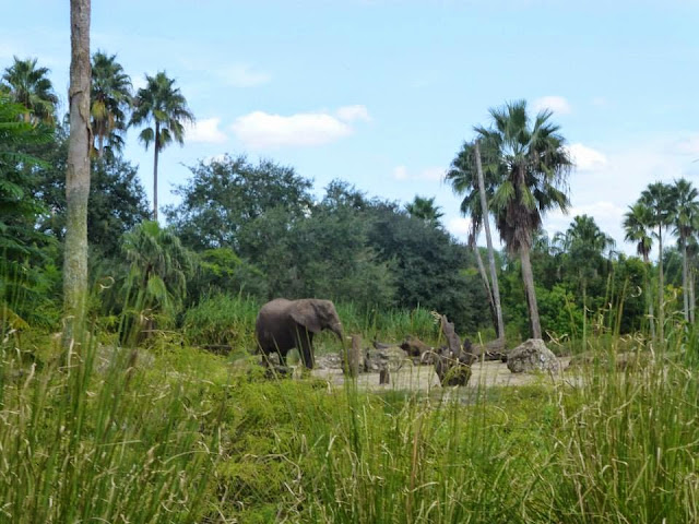 Kilimanjaro Safaris Animal Kingdom Orlando Floride