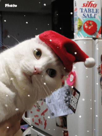 decorar tus fotos online decorar tus fotos de navidad gorros nieve etc decorar tus fotos online decorar tus fotos de navidad gorros nieve etc