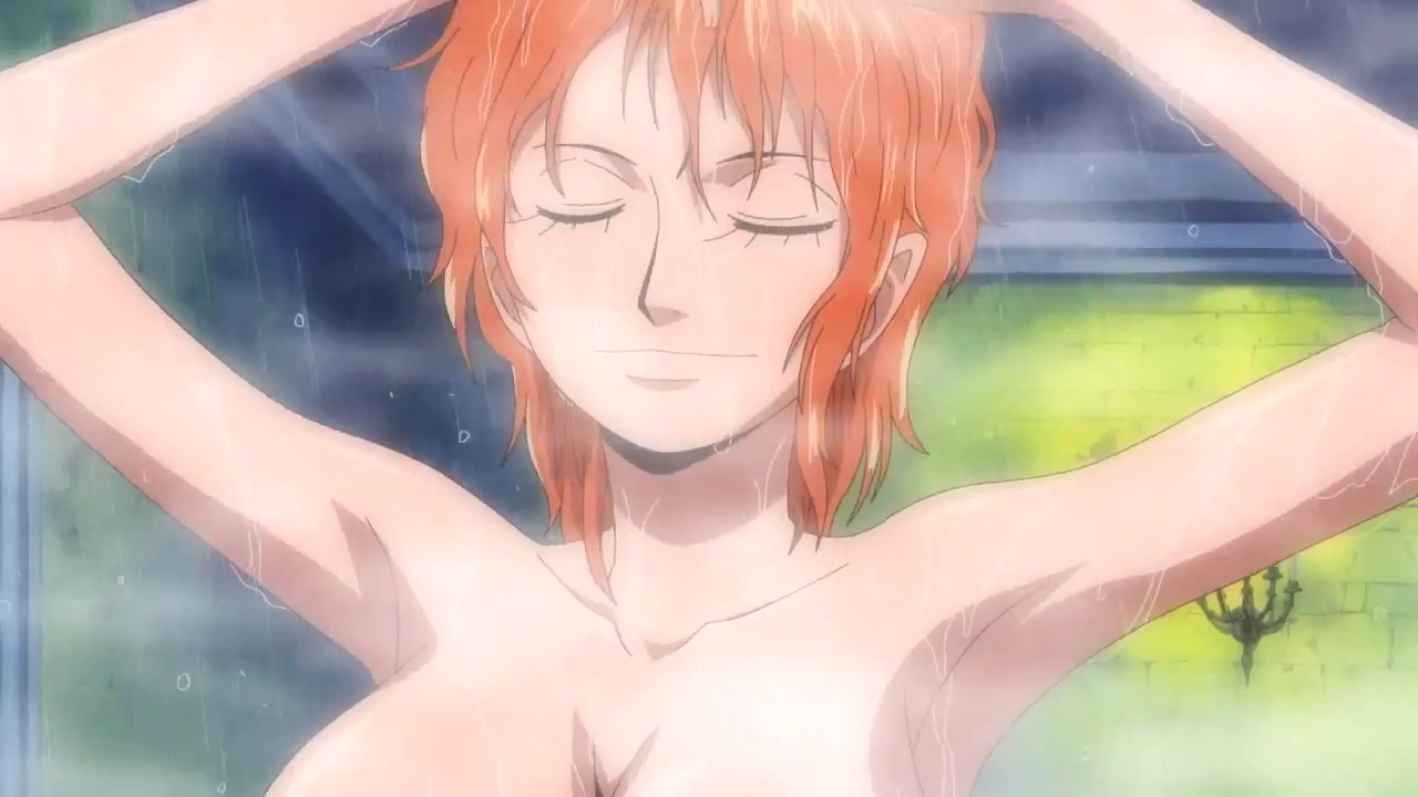 This is from the scene where Nami was taking a bath with Usopp and Chopper ...