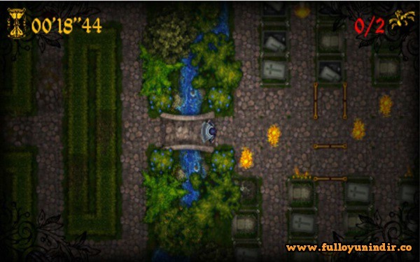 Forest Puzzle